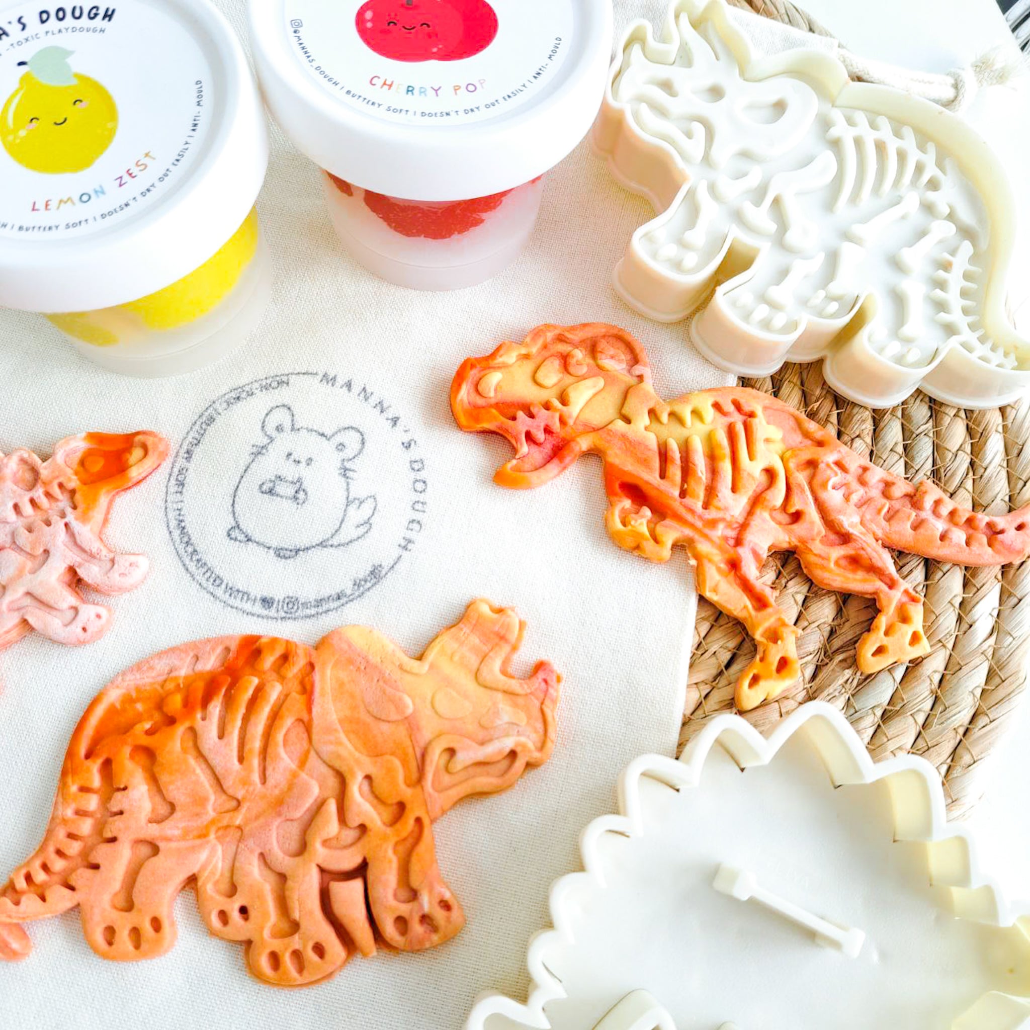 Dinosaur Fossil Kit (Small)