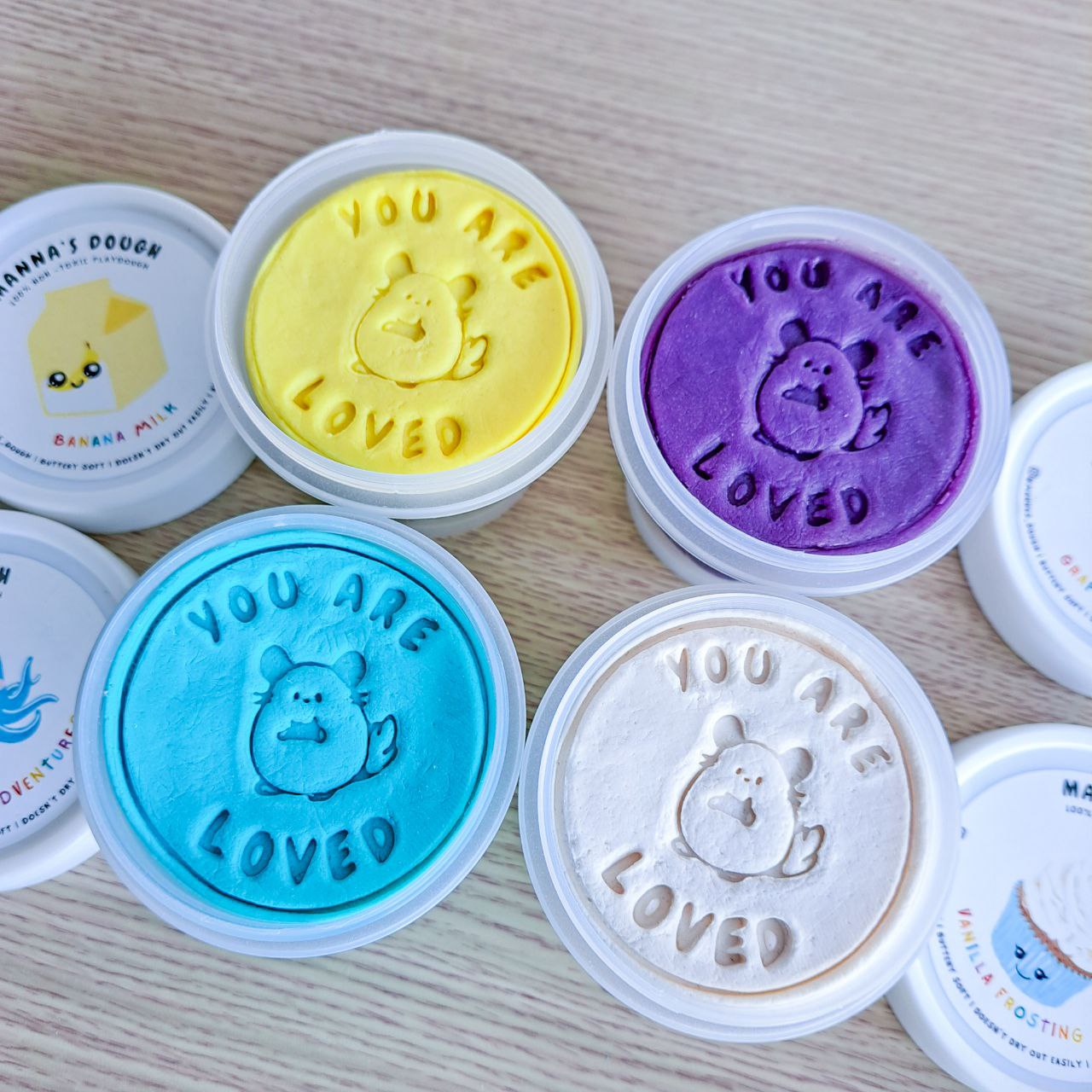 Galaxy Explorer Kit (Large)