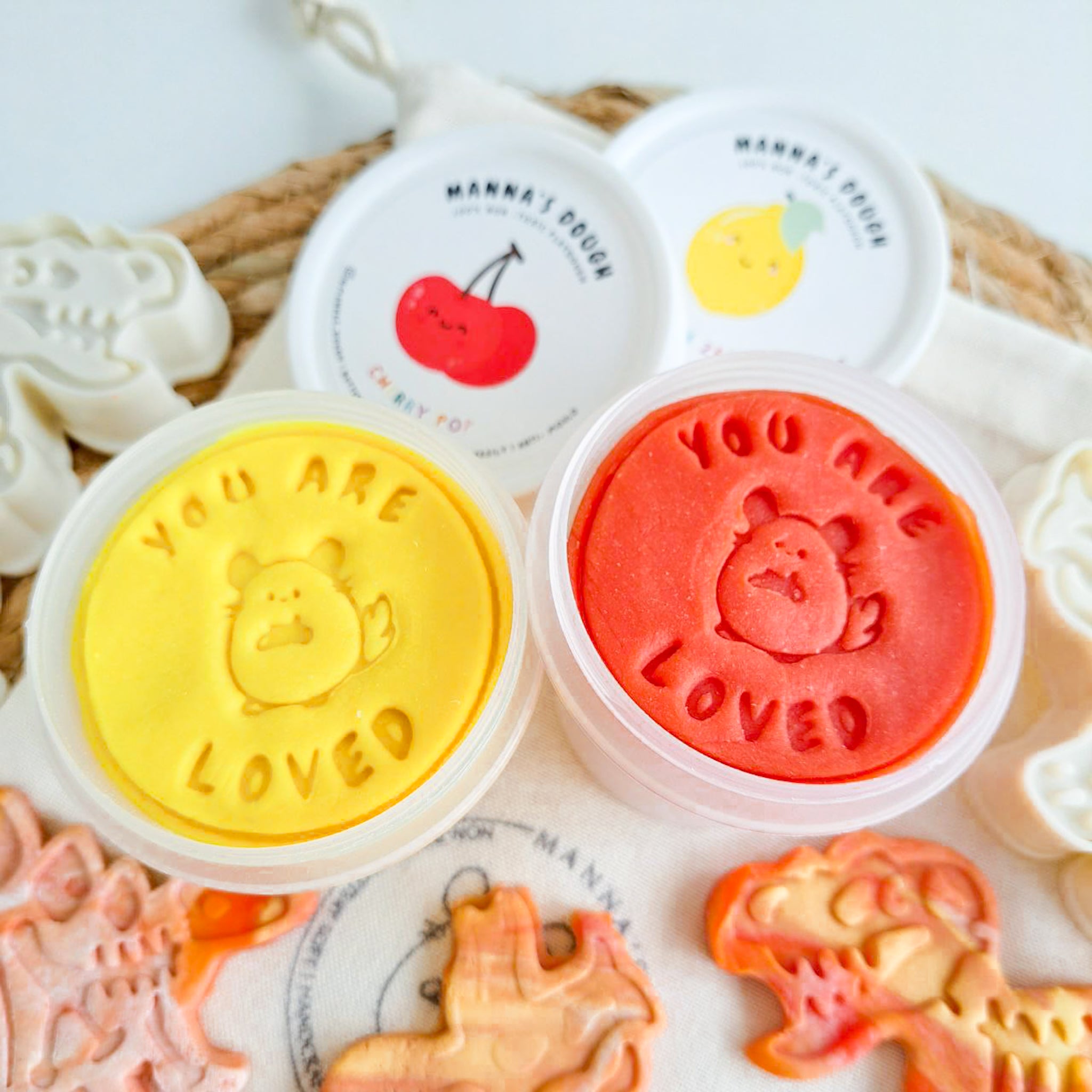 Dinosaur Fossil Kit (Small)