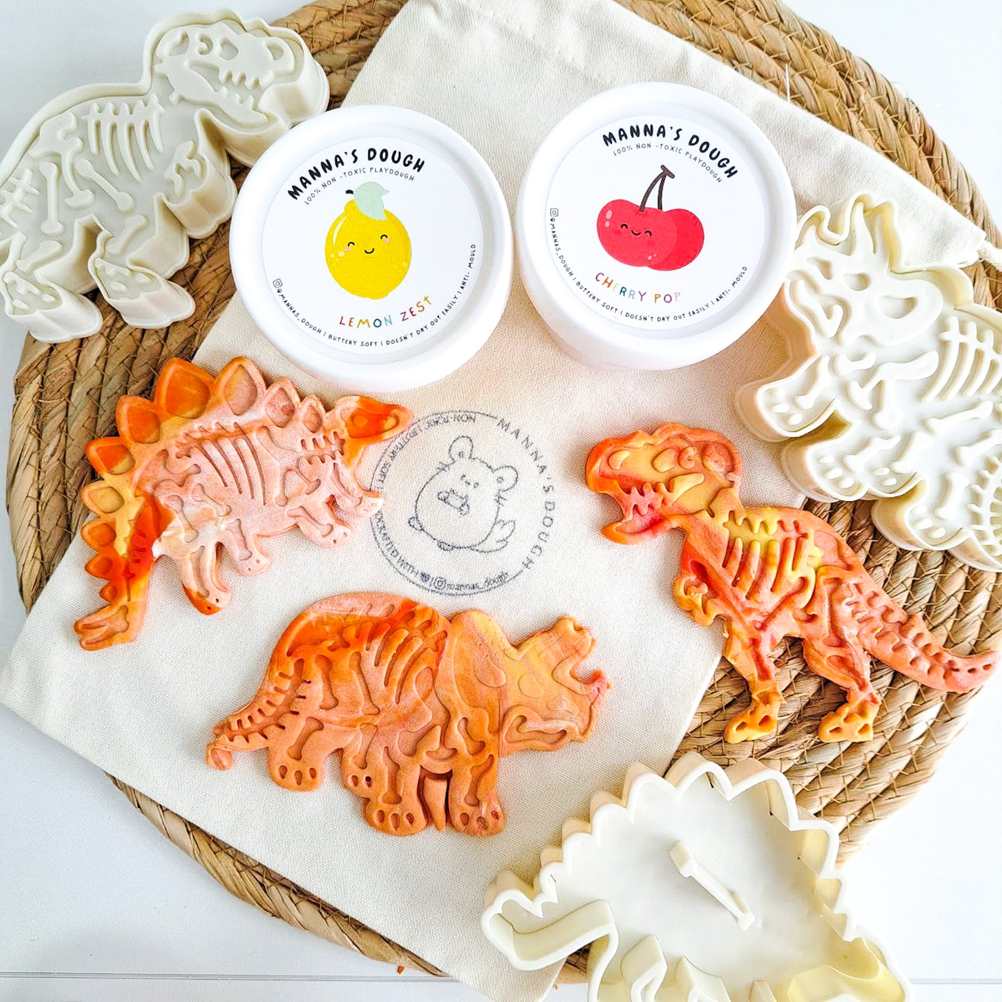 Dinosaur Fossil Kit (Small)