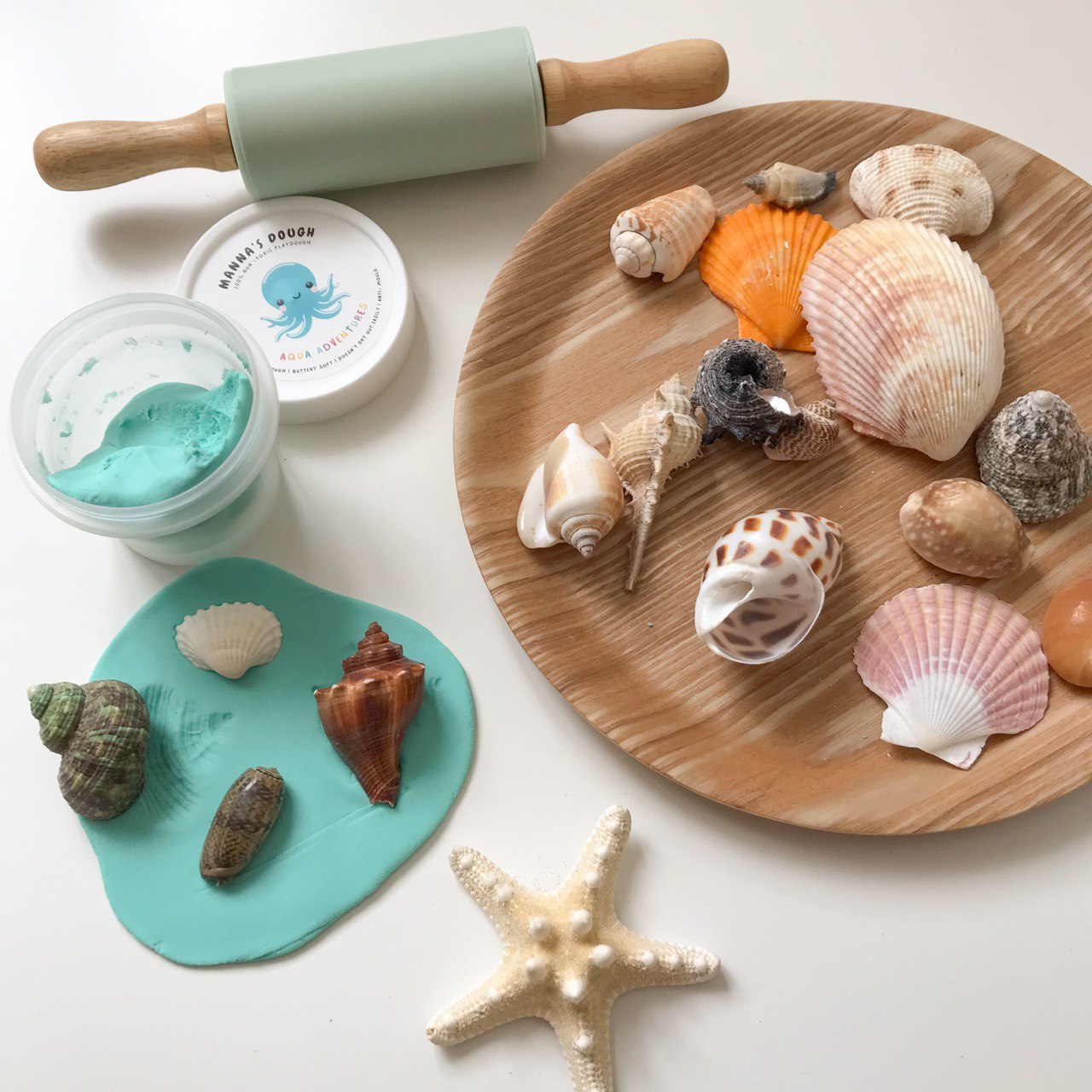 Assorted seashells in a brown plate and also a mint silicone roller on the side. An assortment of seasshells pressed into playdough to make different imprints as well as a large starfish is being featured